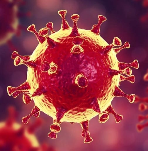 What I’ve learnt about the virus which has had an incredible impact on the whole world